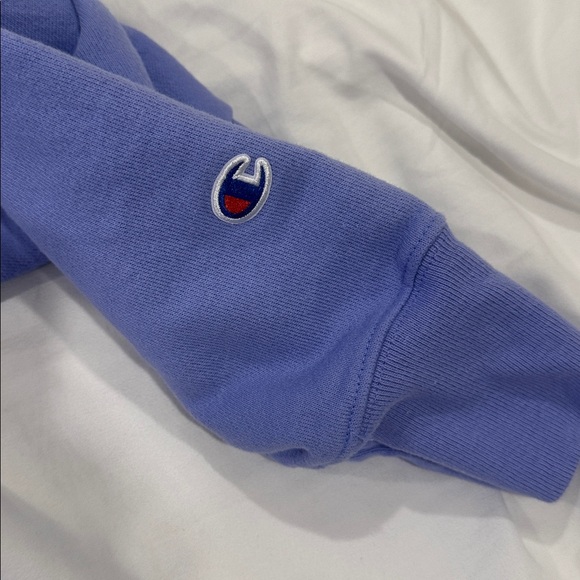 3/$50 Dark lavender champion cropped hoodie x-large - Picture 3 of 4